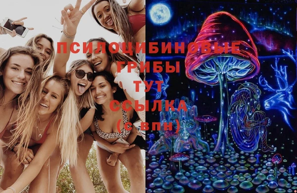 PSILOCYBIN Алексеевка