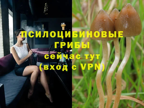 мескалин Аркадак