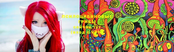 сатива Абинск