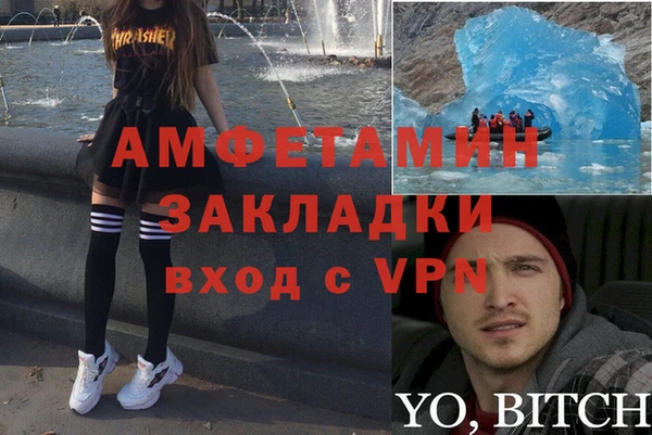 ECSTASY Алзамай