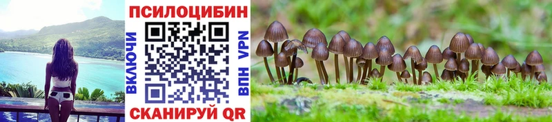 Галлюциногенные грибы мицелий  Кирсанов 